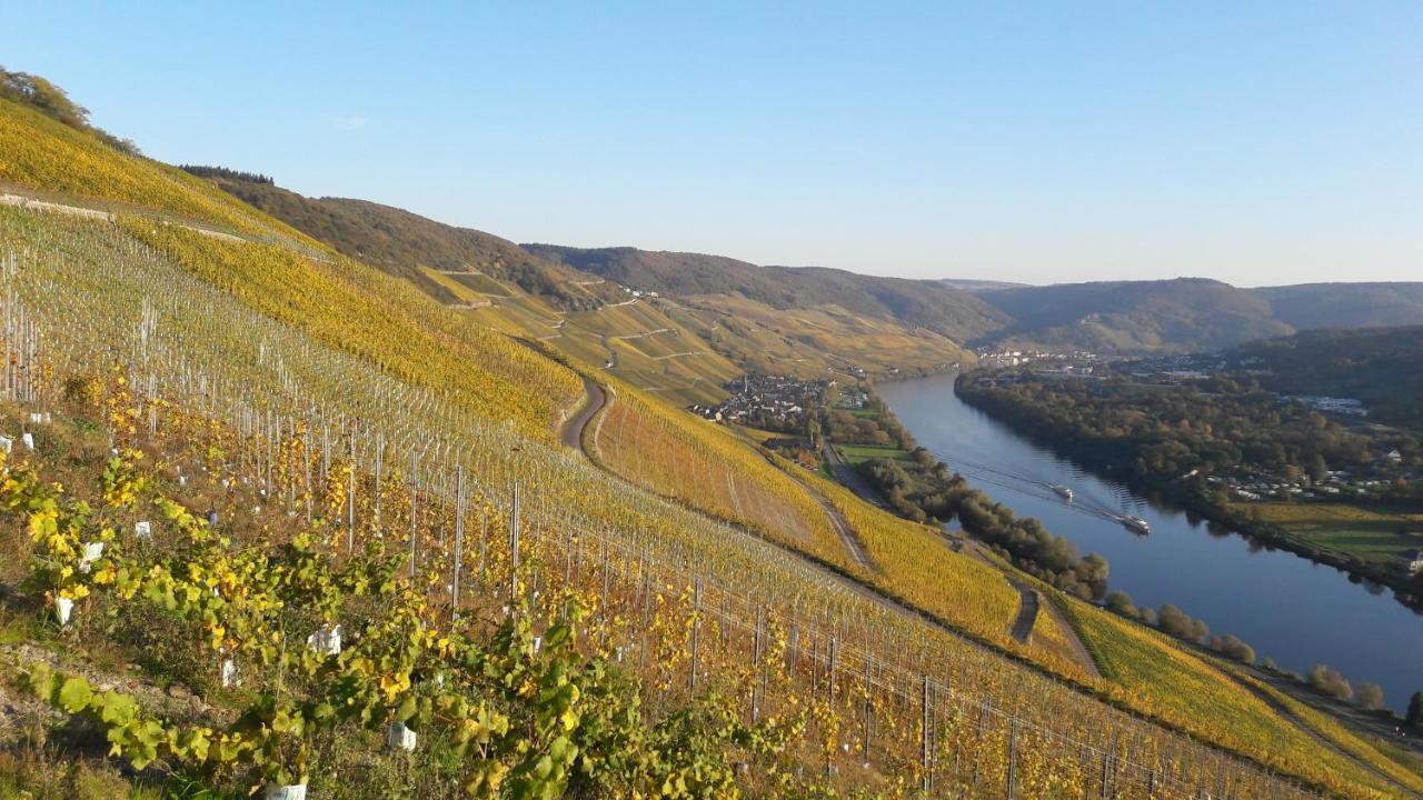 Wein- Und Landhaus S A Pruem Bernkastel-Kues Exteriör bild