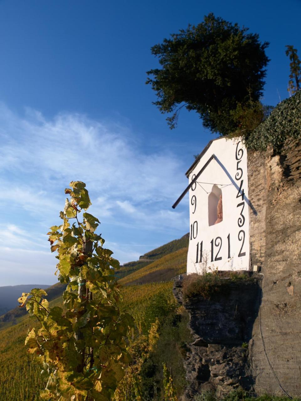 Wein- Und Landhaus S A Pruem Bernkastel-Kues Exteriör bild